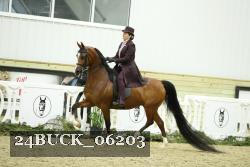 24BUCK_06203 thumbnail