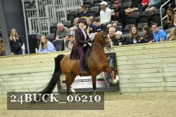 24BUCK_06210 thumbnail
