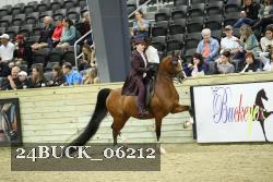 24BUCK_06212 thumbnail