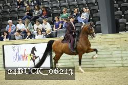 24BUCK_06213 thumbnail