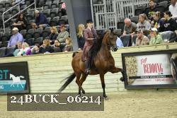 24BUCK_06214 thumbnail