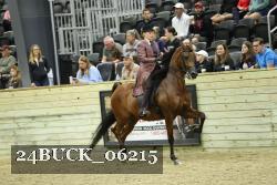 24BUCK_06215 thumbnail