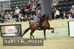 24BUCK_06216 thumbnail