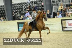 24BUCK_06221 thumbnail
