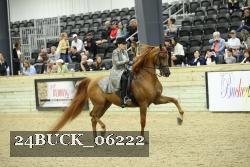 24BUCK_06222 thumbnail