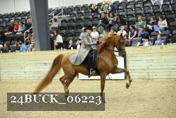 24BUCK_06223 thumbnail