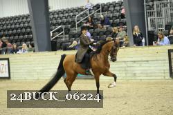 24BUCK_06224 thumbnail