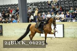 24BUCK_06225 thumbnail