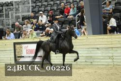 24BUCK_06226 thumbnail