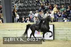 24BUCK_06227 thumbnail
