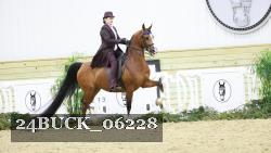 24BUCK_06228 thumbnail