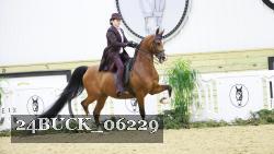 24BUCK_06229 thumbnail
