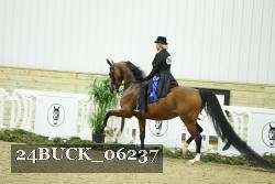 24BUCK_06237 thumbnail
