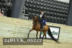24BUCK_06242 thumbnail