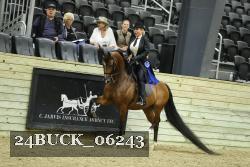 24BUCK_06243 thumbnail