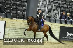 24BUCK_06244 thumbnail