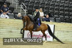 24BUCK_06245 thumbnail