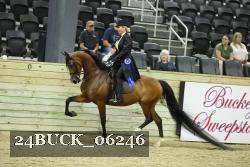 24BUCK_06246 thumbnail