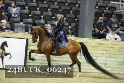 24BUCK_06247 thumbnail