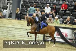 24BUCK_06250 thumbnail