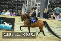 24BUCK_06251 thumbnail