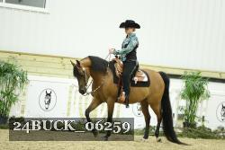 24BUCK_06259 thumbnail