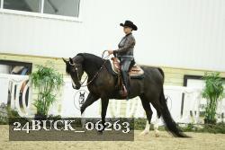 24BUCK_06263 thumbnail