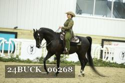 24BUCK_06268 thumbnail