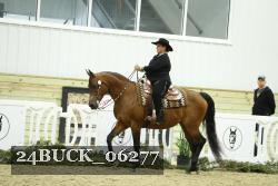 24BUCK_06277 thumbnail