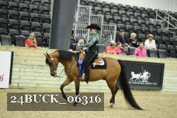 24BUCK_06316 thumbnail