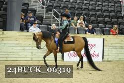 24BUCK_06319 thumbnail