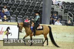 24BUCK_06321 thumbnail