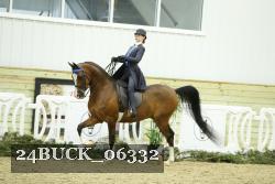 24BUCK_06332 thumbnail