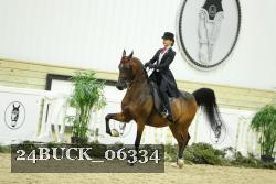 24BUCK_06334 thumbnail