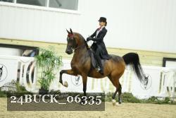 24BUCK_06335 thumbnail