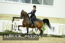 24BUCK_06336 thumbnail