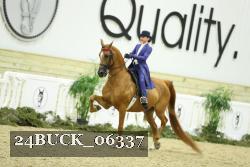 24BUCK_06337 thumbnail