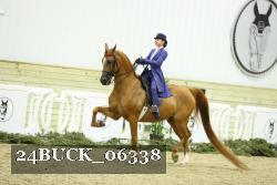 24BUCK_06338 thumbnail