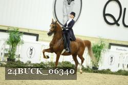 24BUCK_06340 thumbnail