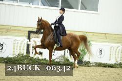 24BUCK_06342 thumbnail