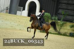 24BUCK_06343 thumbnail