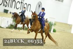 24BUCK_06353 thumbnail