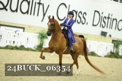 24BUCK_06354 thumbnail