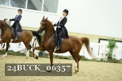24BUCK_06357 thumbnail