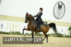 24BUCK_06358 thumbnail
