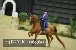 24BUCK_06360 thumbnail