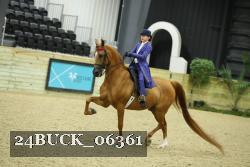 24BUCK_06361 thumbnail