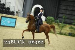 24BUCK_06362 thumbnail