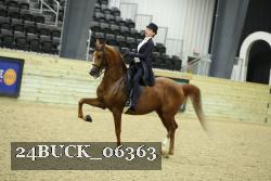 24BUCK_06363 thumbnail