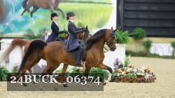 24BUCK_06374 thumbnail